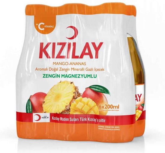 Kızılay Meyveli Mango Ananas*24 toptan fiyat