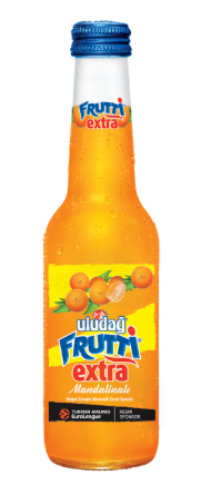 Uludağ Frutti Extra Cam Mandalina 250 ML*24 toptan fiyat