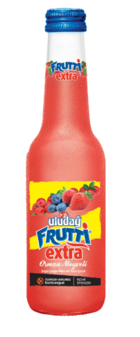 Uludağ Frutti Extra Cam Orman 250 ML*24 toptan fiyat