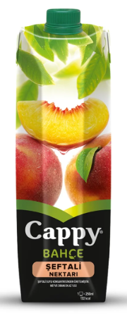 Cappy Şeftali Meyve Suyu 1 LT*12