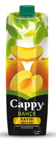 CAPPY 1 LT KAYISI MEYVE SUYU 1 LT*12 toptan fiyat