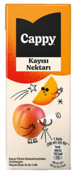 Cappy 1/5 Kayısı Meyve Nektarı*27