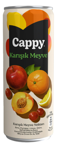 Cappy Teneke Karışık*24