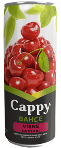 Cappy Teneke Vişne*24