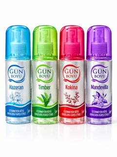 GÜNBOYU ODA SPREY*12 toptan fiyat