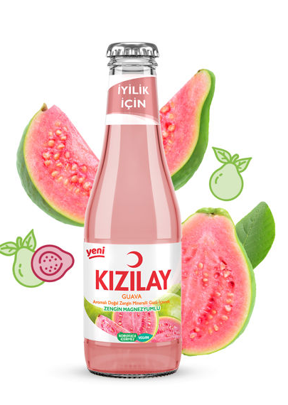 Kızılay Meyveli Guava*24 toptan fiyat