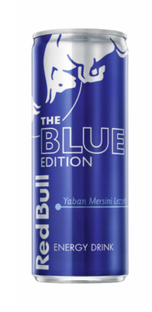 Redbull Blue Edıtıon 250 ML*24